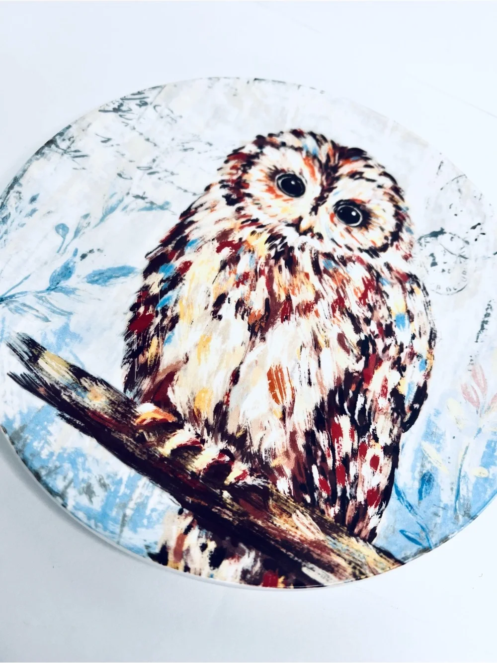 Pier 1 Imports Owl Ironstone Salad Plate 8.75” Woodland Cottagecore
